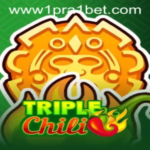 Exploring the Thrilling World of TripleChili: A 1 pra 1 bet Adventure